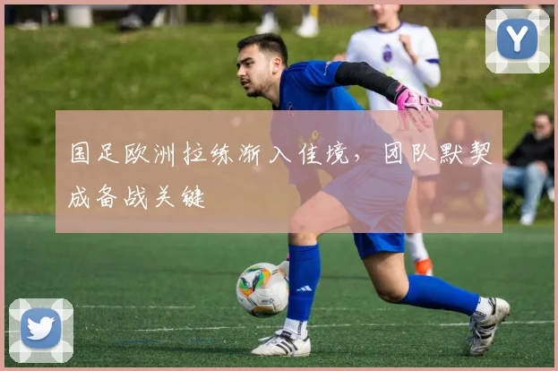 国足欧洲拉练渐入佳境,团队默契成备战关键