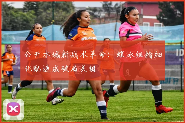 公开水域新战术革命：蝶泳组精细化配速成破局关键