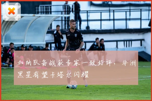 加纳队备战获专家一致好评，非洲黑星有望卡塔尔闪耀